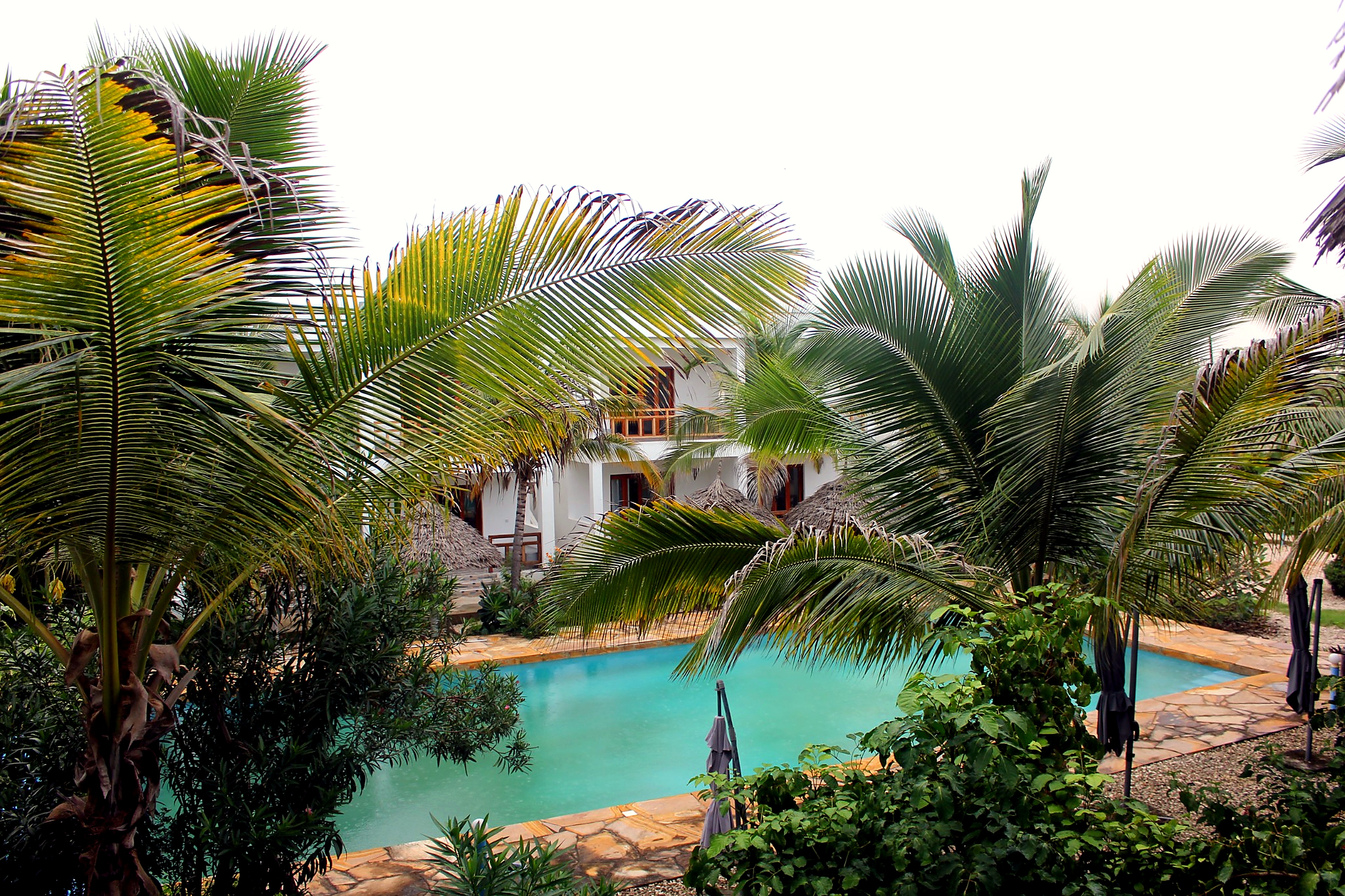 Swimming pool at Jabali Bungalows Lodge in Paje, Zanzibar