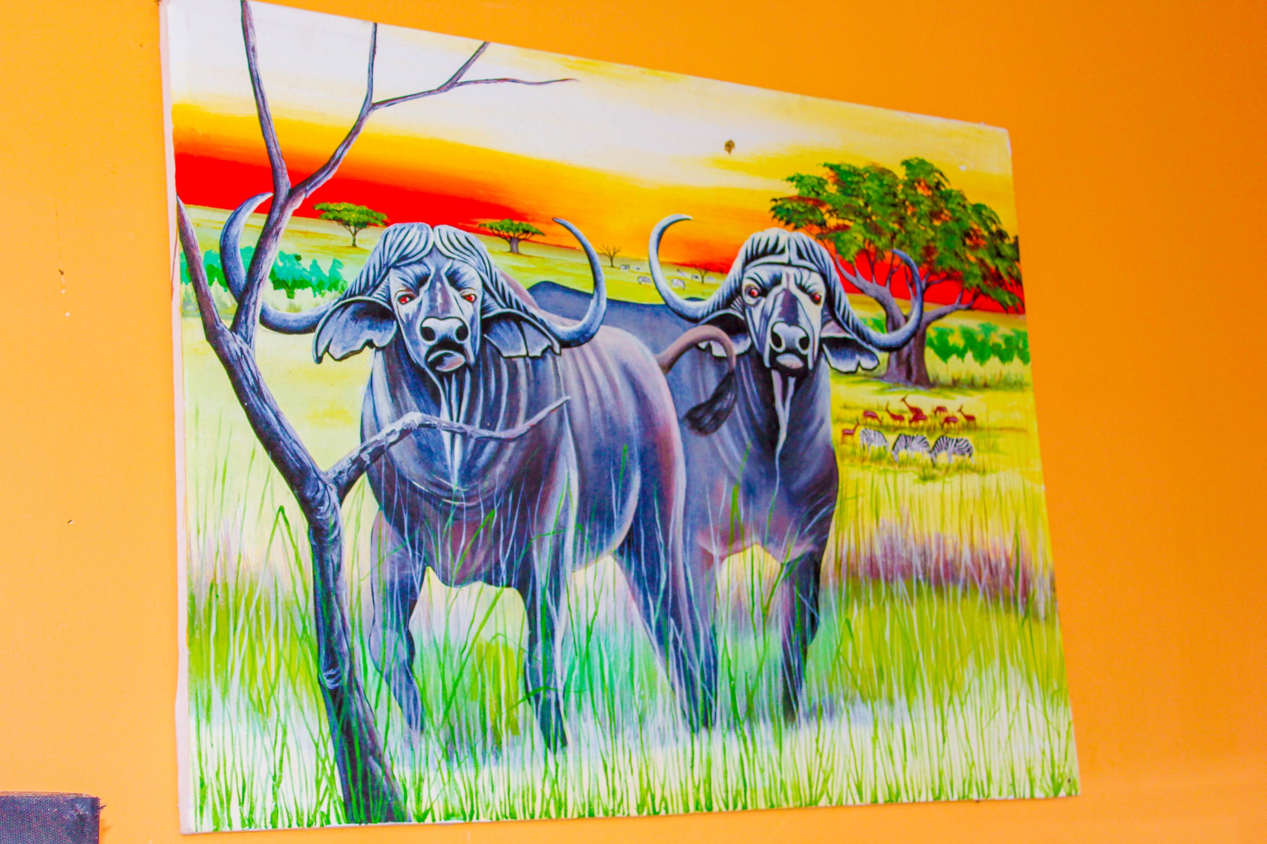 Zanzibar tours and Tanzania safari assistance for Jabali Bungalows Lodge guests