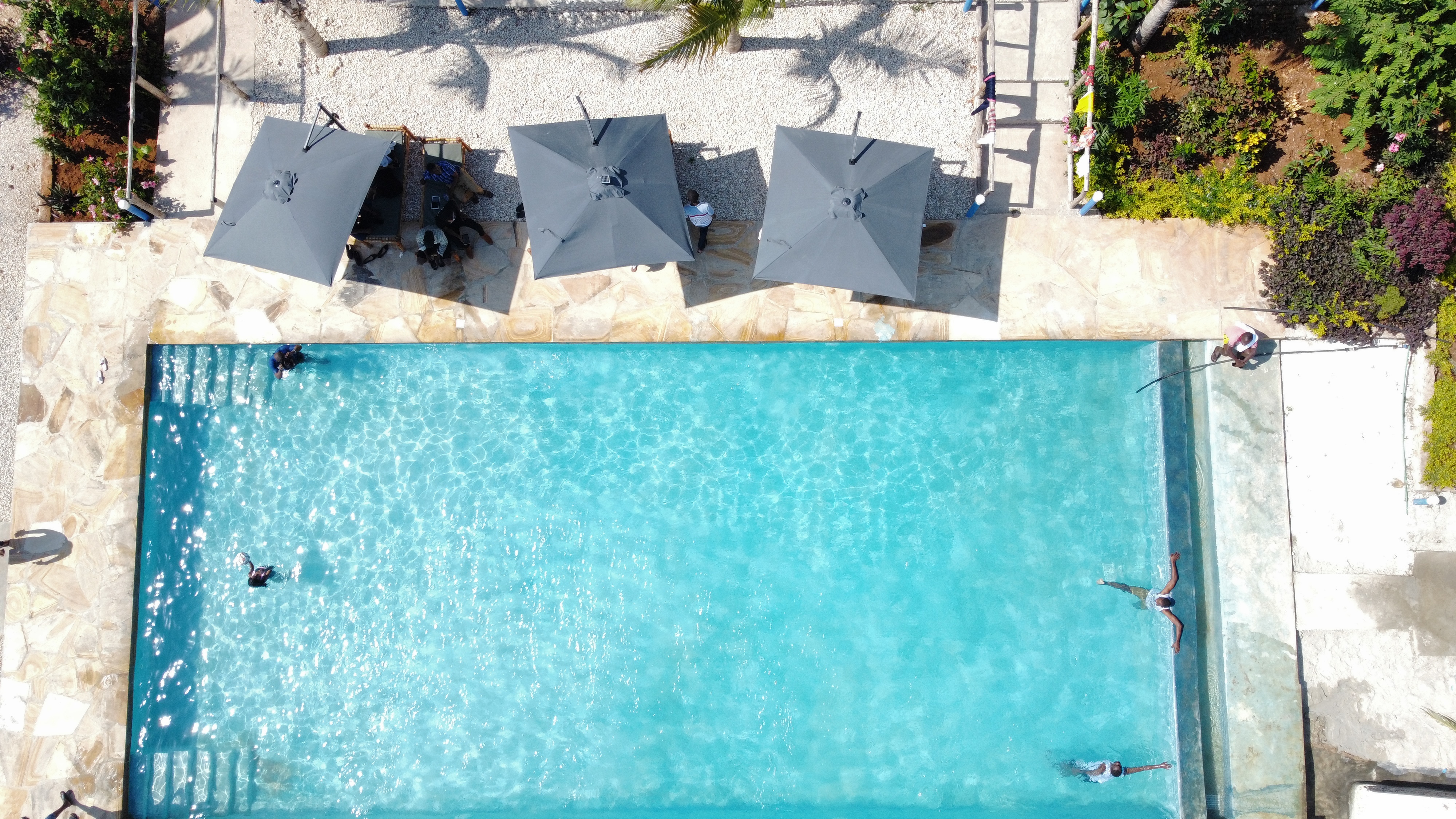 Pool Area - Jabali Bungalows Lodge in Paje, Zanzibar
