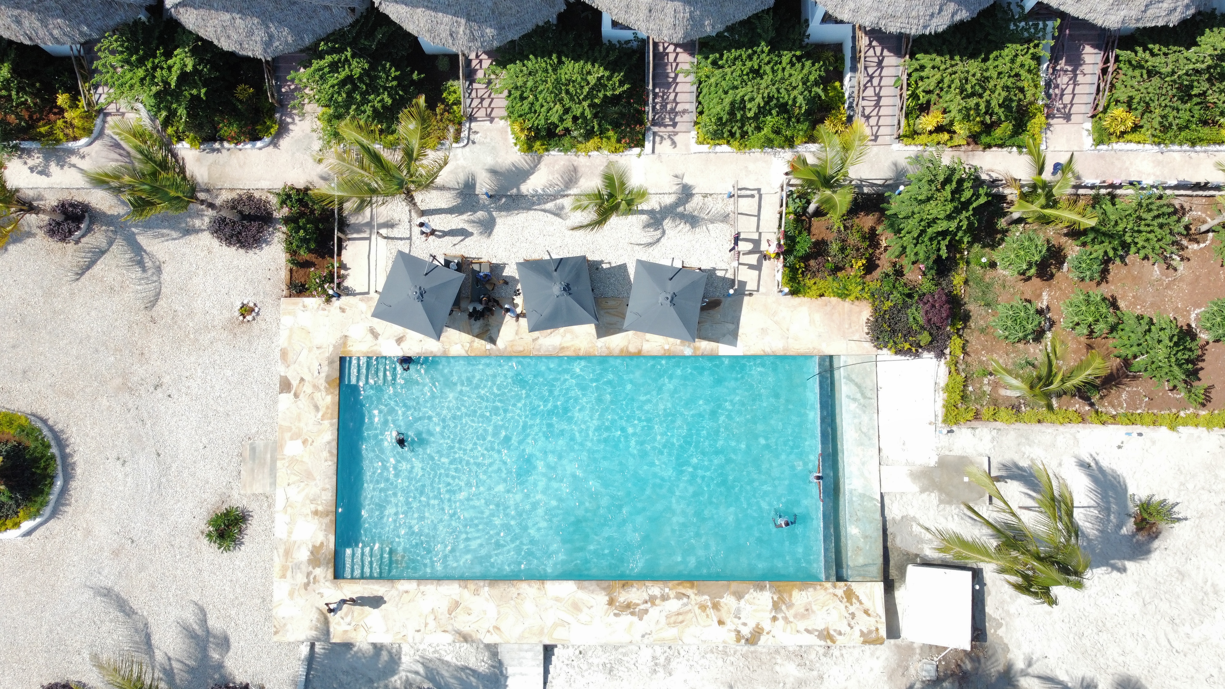 Pool Area - Jabali Bungalows Lodge in Paje, Zanzibar